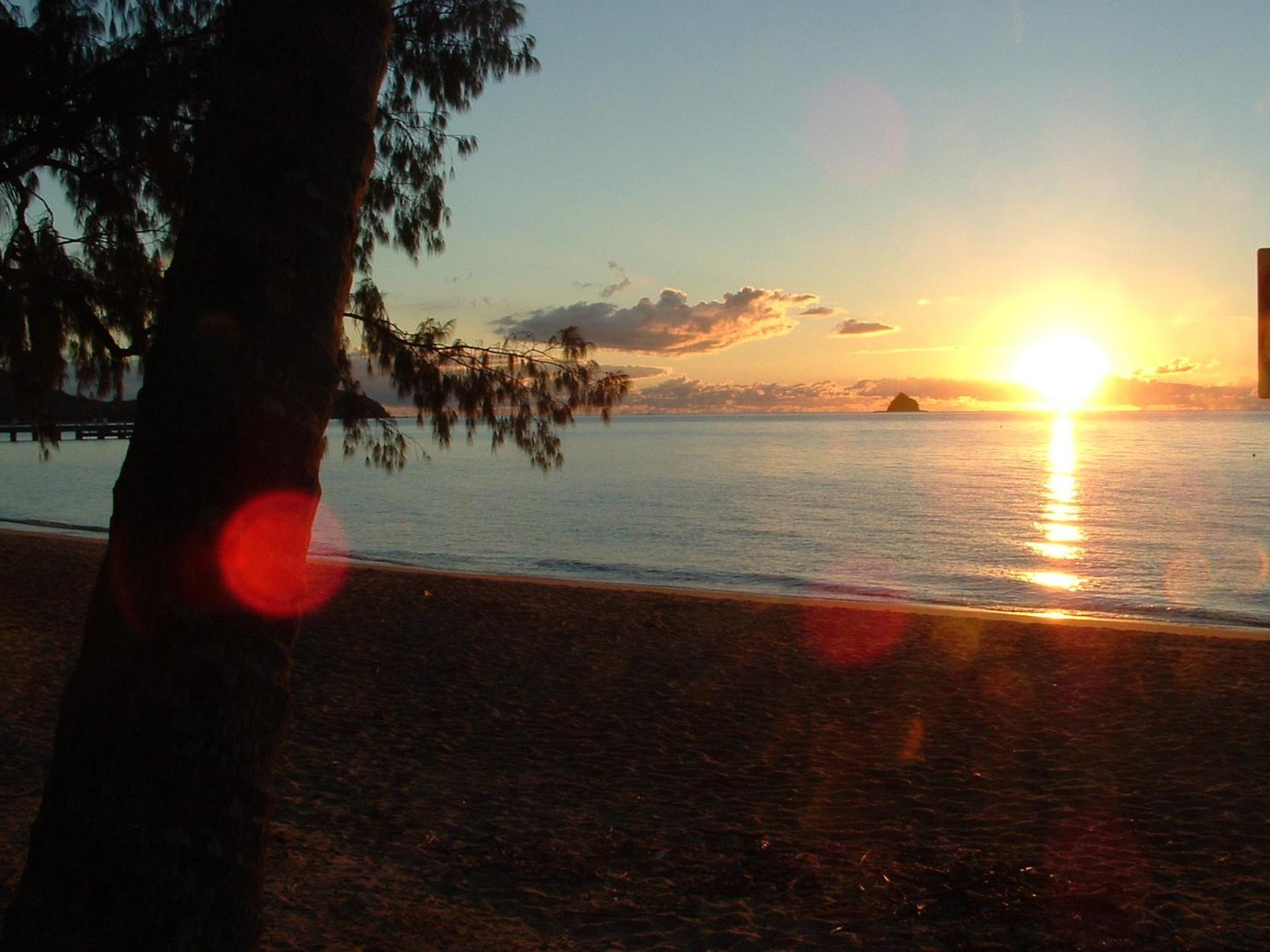 Marlin Waters Beachfront apartamentos Palm Cove Exterior foto