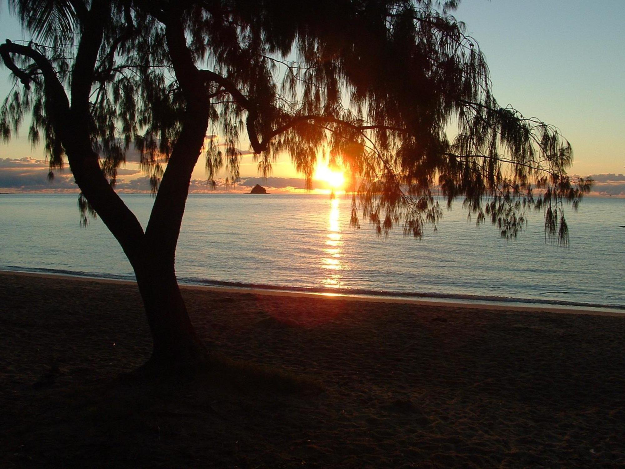 Marlin Waters Beachfront apartamentos Palm Cove Exterior foto