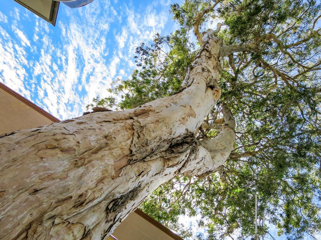 Marlin Waters Beachfront apartamentos Palm Cove Exterior foto