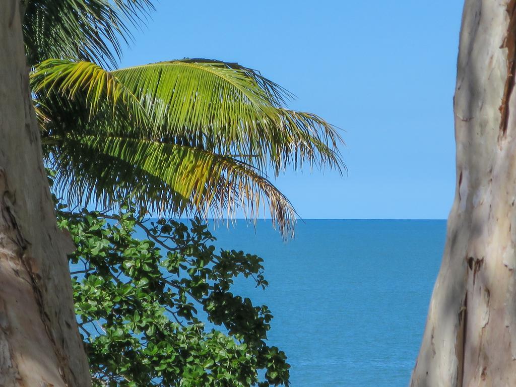 Marlin Waters Beachfront apartamentos Palm Cove Exterior foto