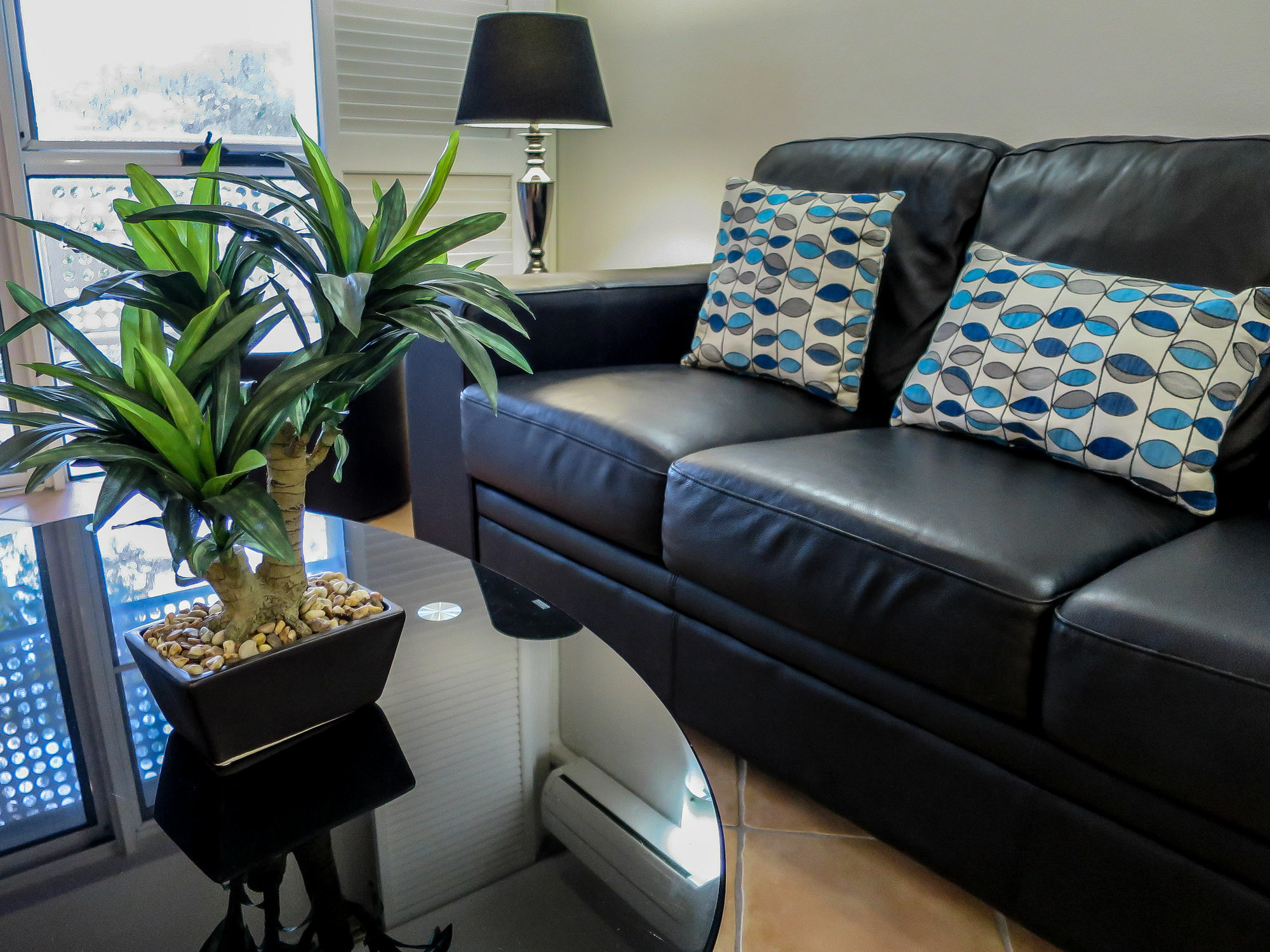Marlin Waters Beachfront apartamentos Palm Cove Exterior foto