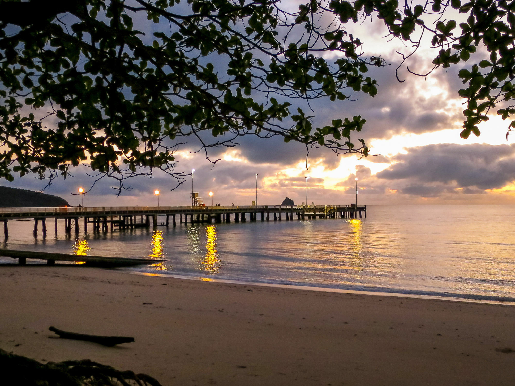 Marlin Waters Beachfront apartamentos Palm Cove Exterior foto