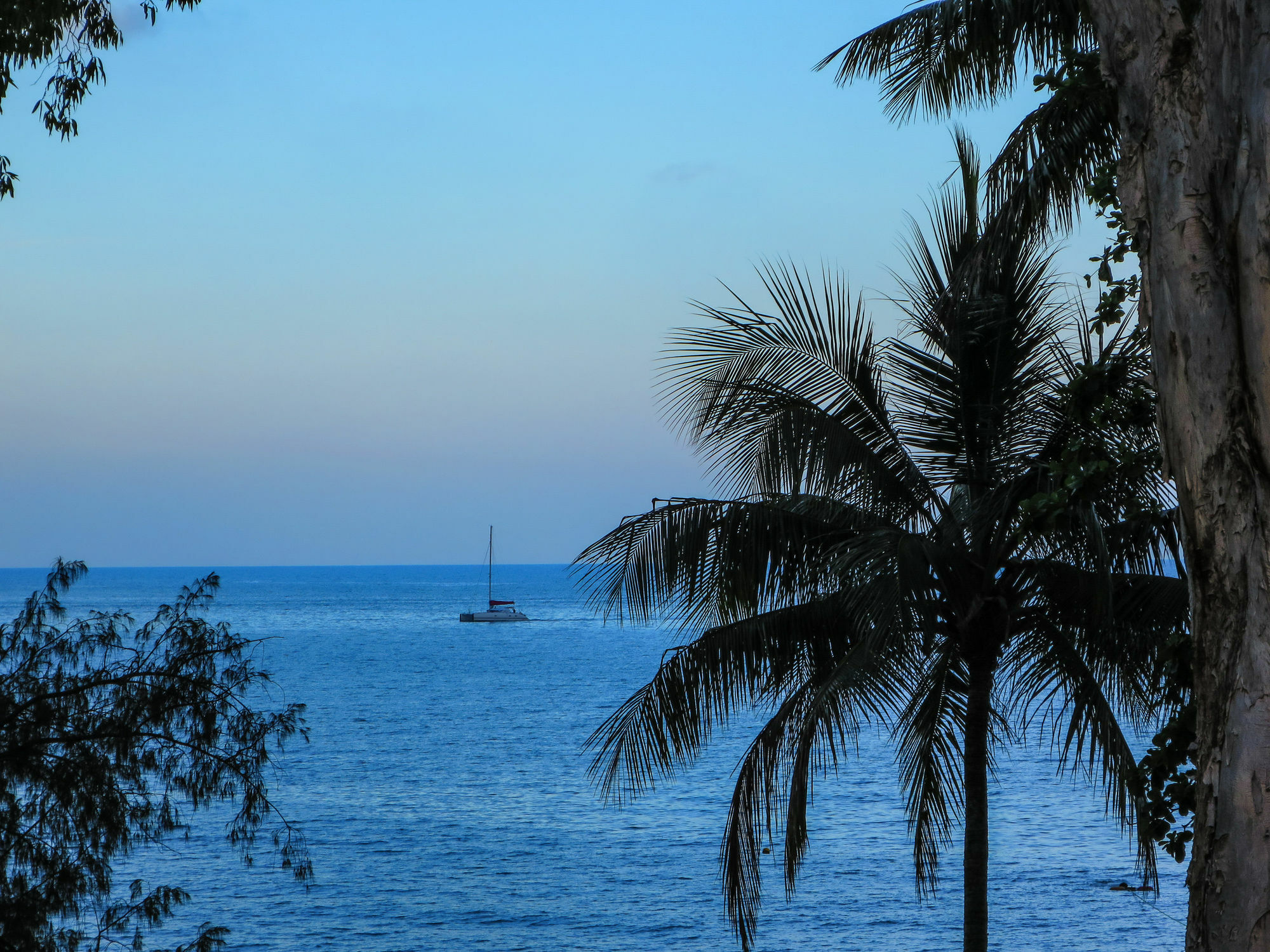 Marlin Waters Beachfront apartamentos Palm Cove Exterior foto