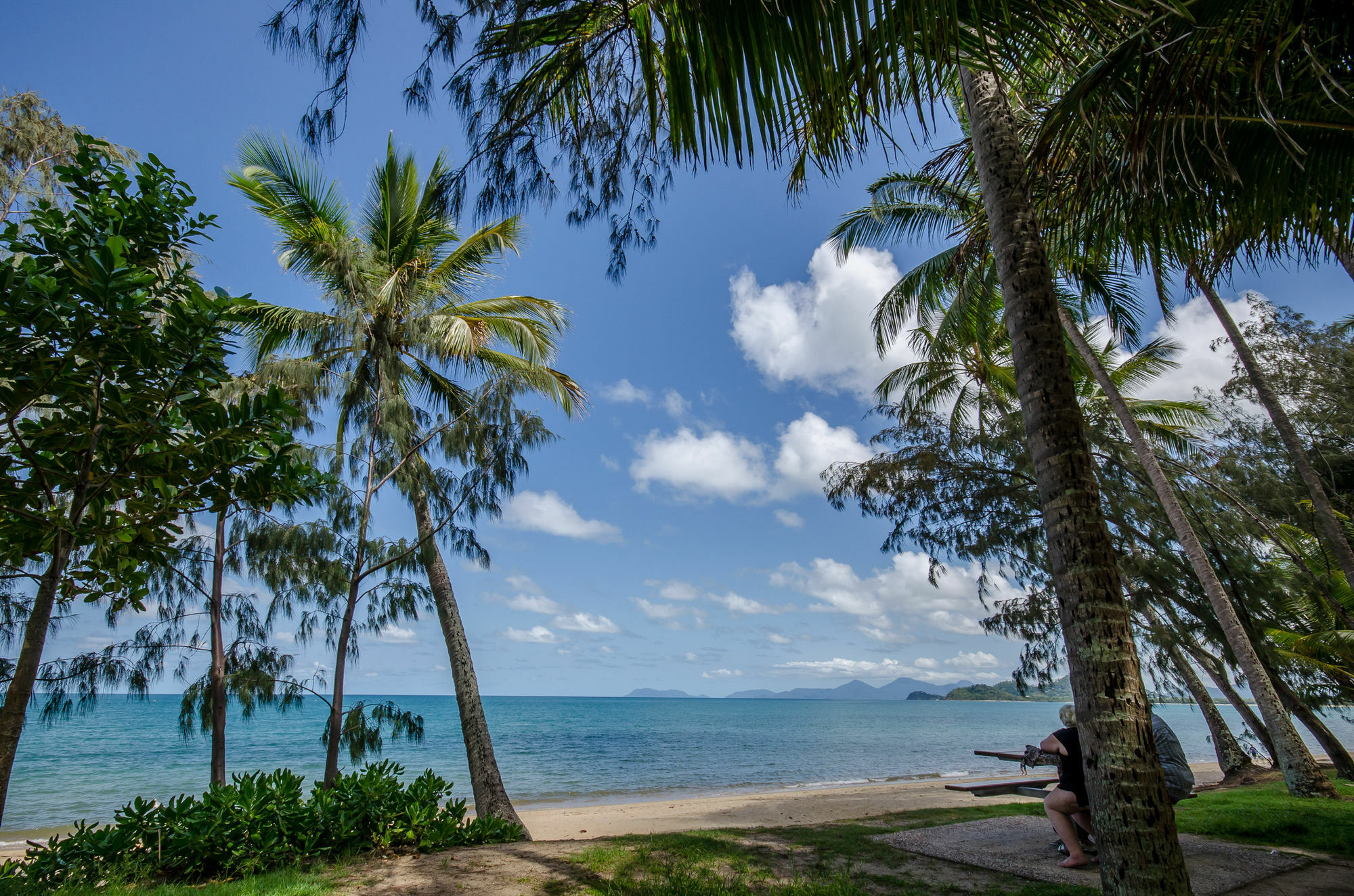Marlin Waters Beachfront apartamentos Palm Cove Exterior foto
