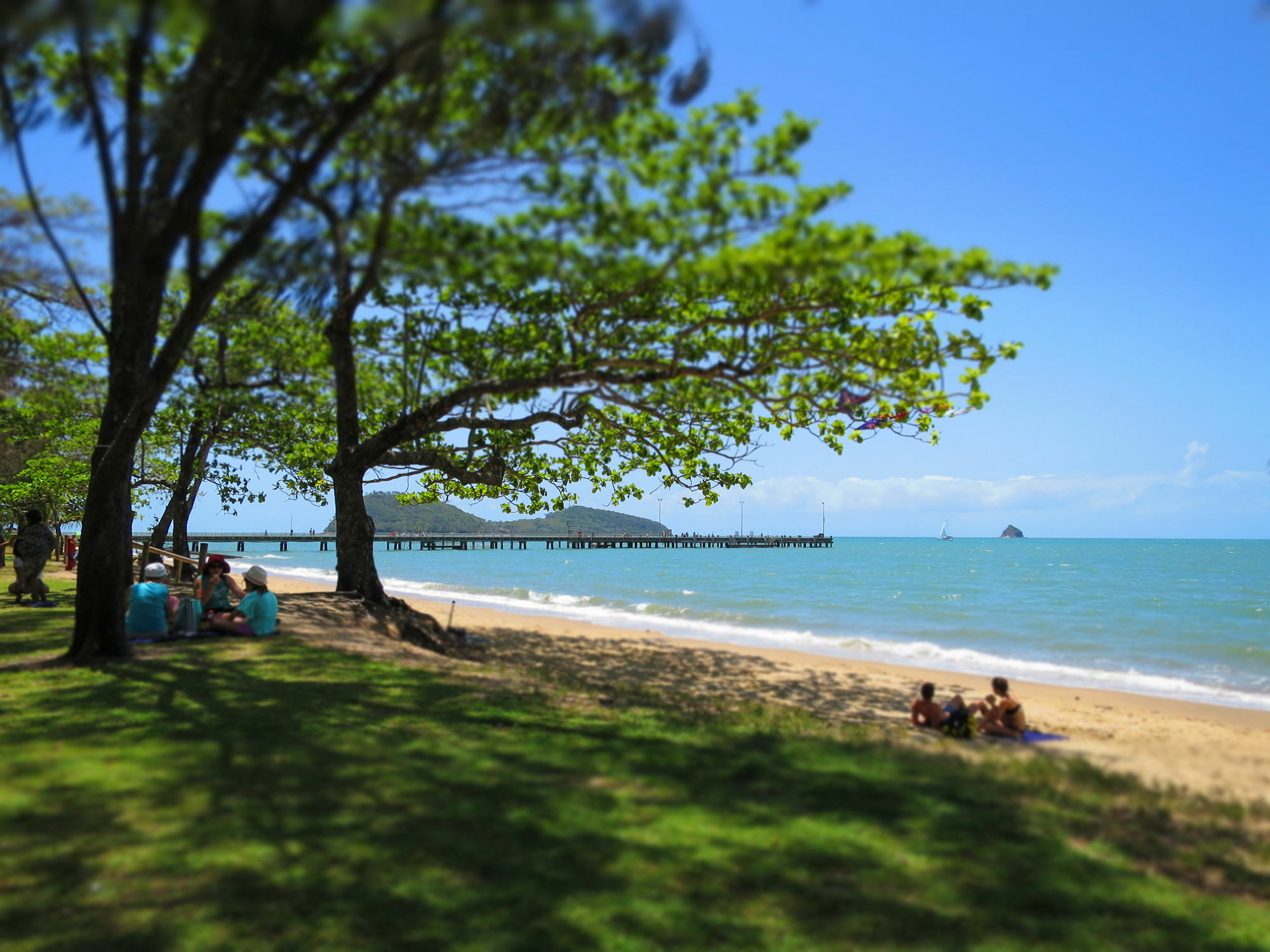 Marlin Waters Beachfront apartamentos Palm Cove Exterior foto