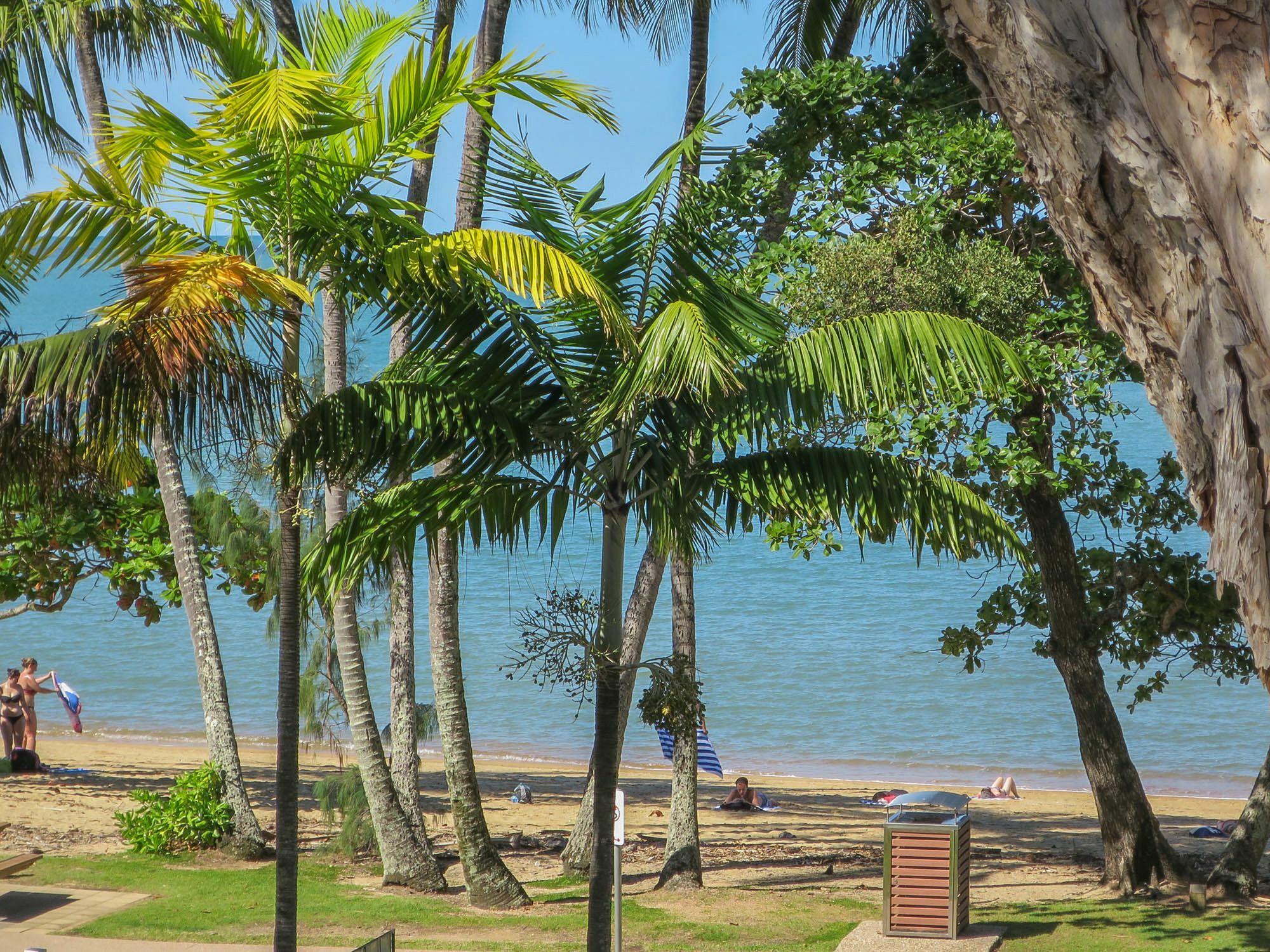 Marlin Waters Beachfront apartamentos Palm Cove Exterior foto